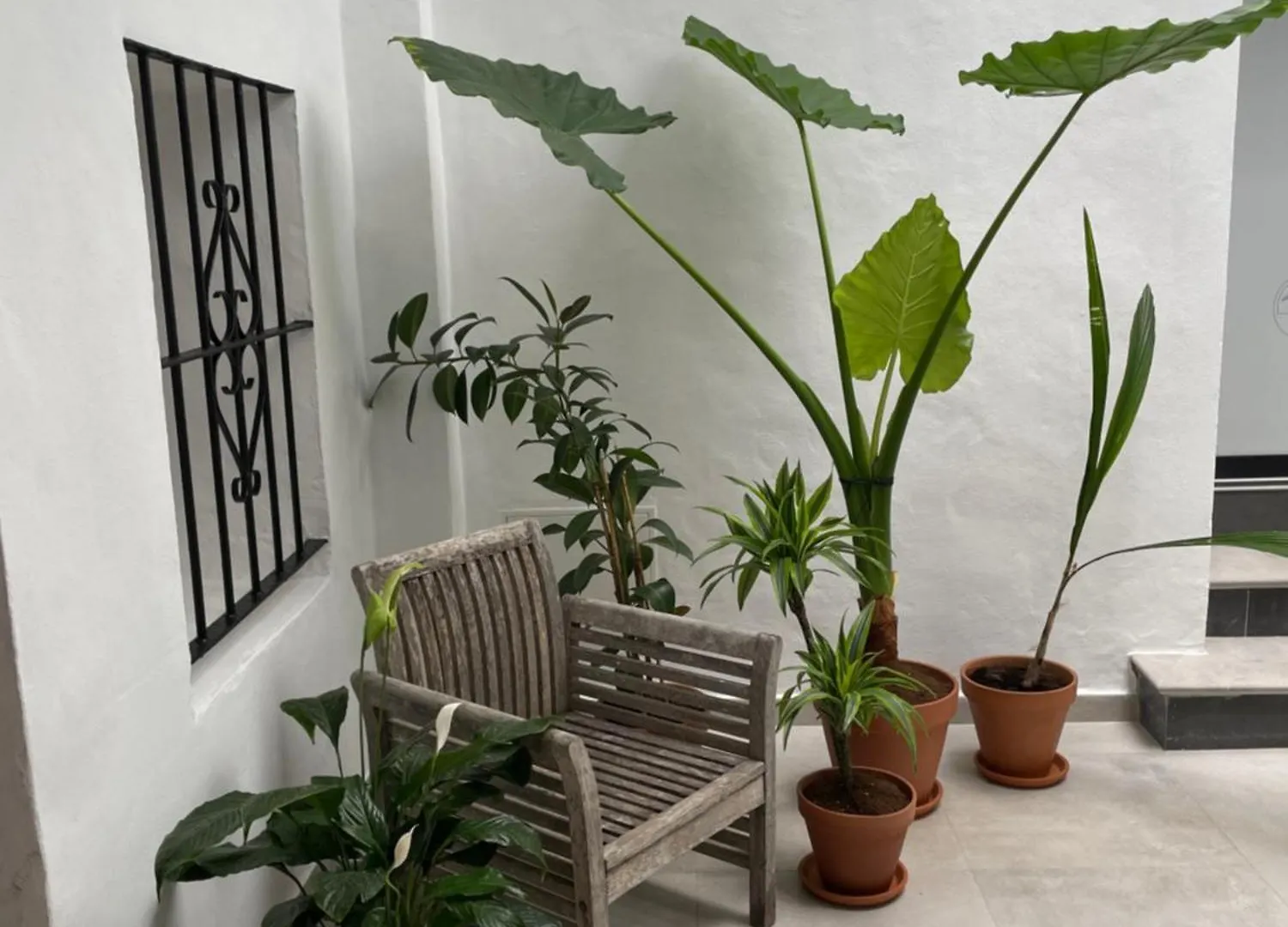 Appartamento Casa Florinda Tarifa 0*,