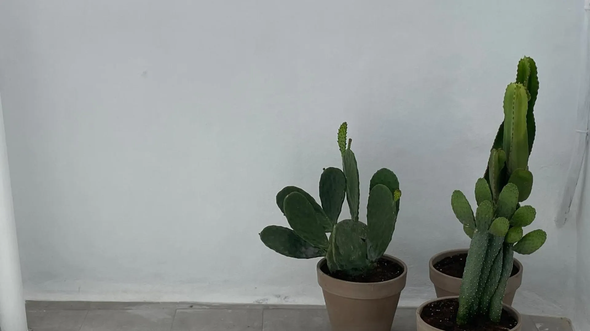Apartamento Casa Florinda Tarifa